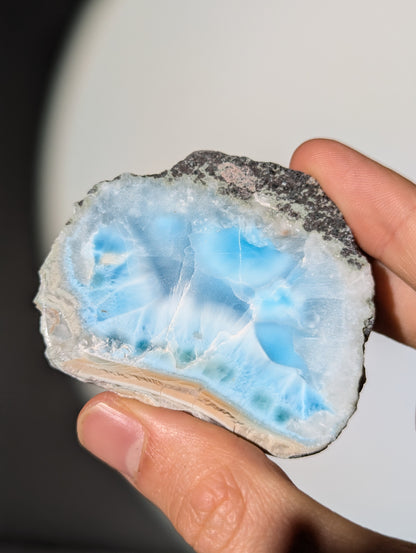 Larimar Scheibe