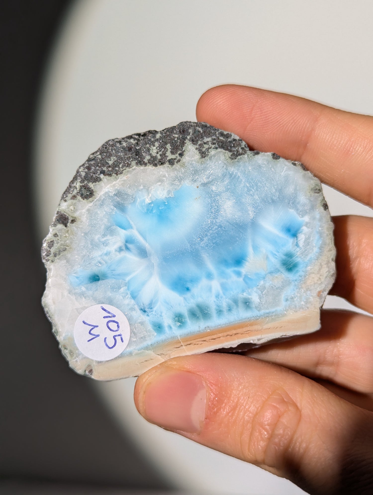 Larimar Scheibe