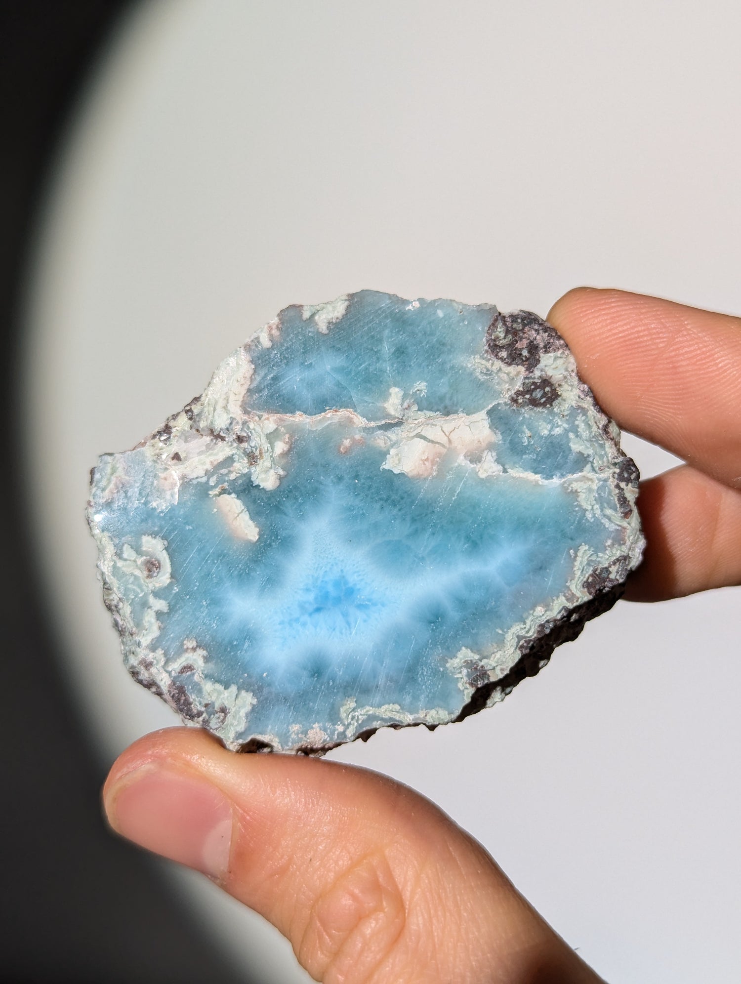 Larimar Scheibe