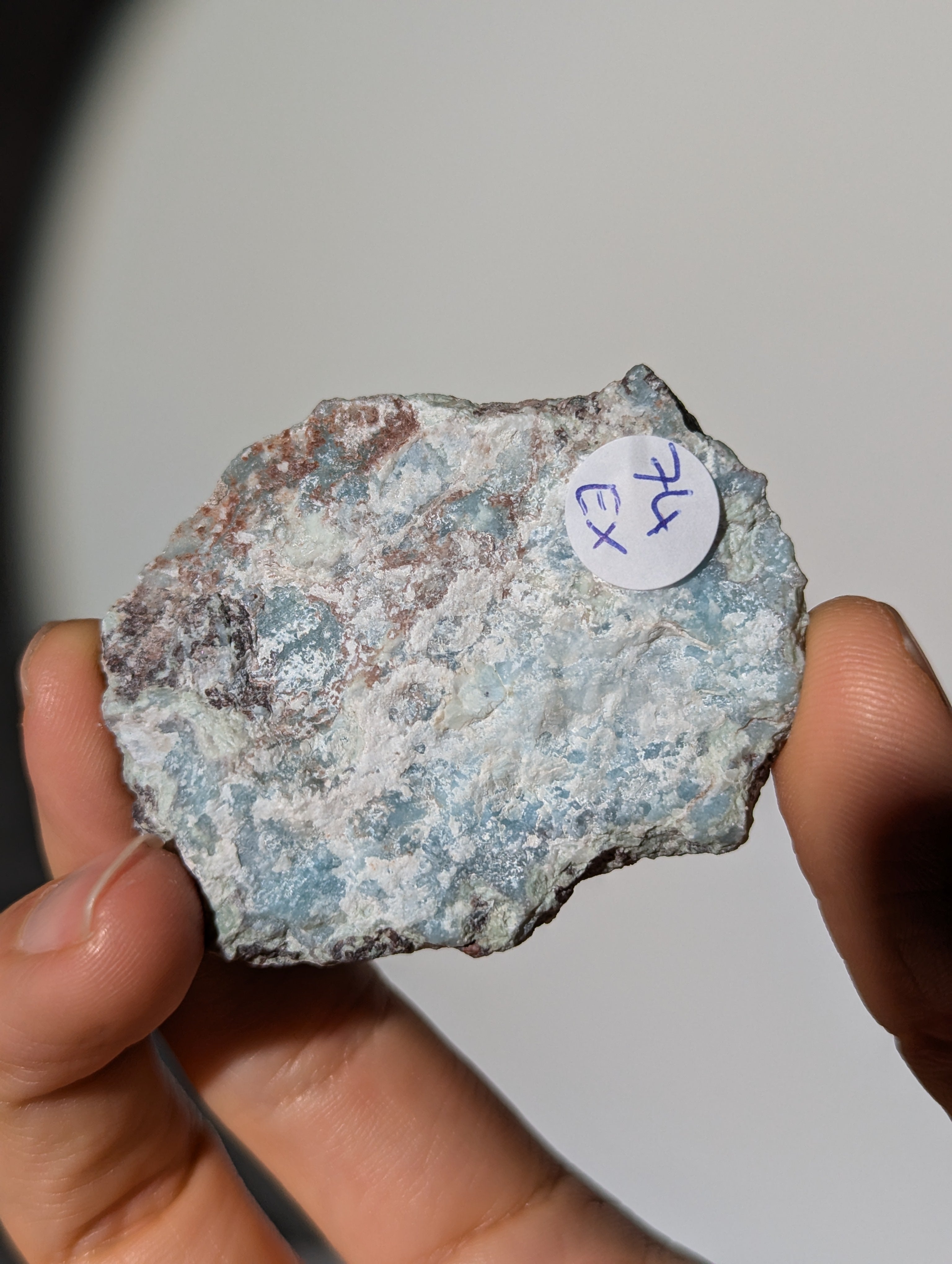 Larimar Scheibe