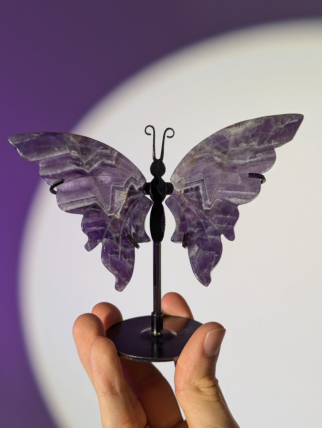 Amethyst Schmetterling 🦋💜