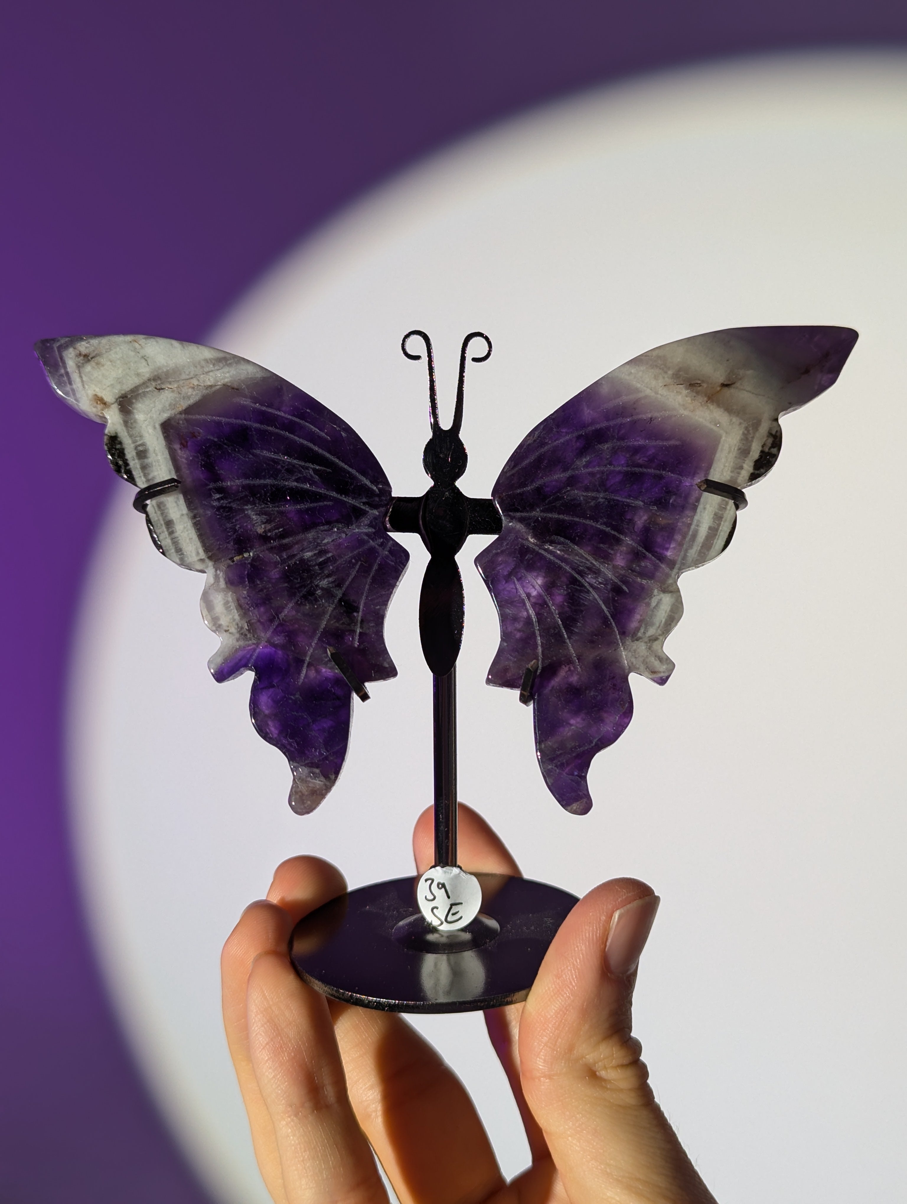 Amethyst Schmetterling 🦋💜