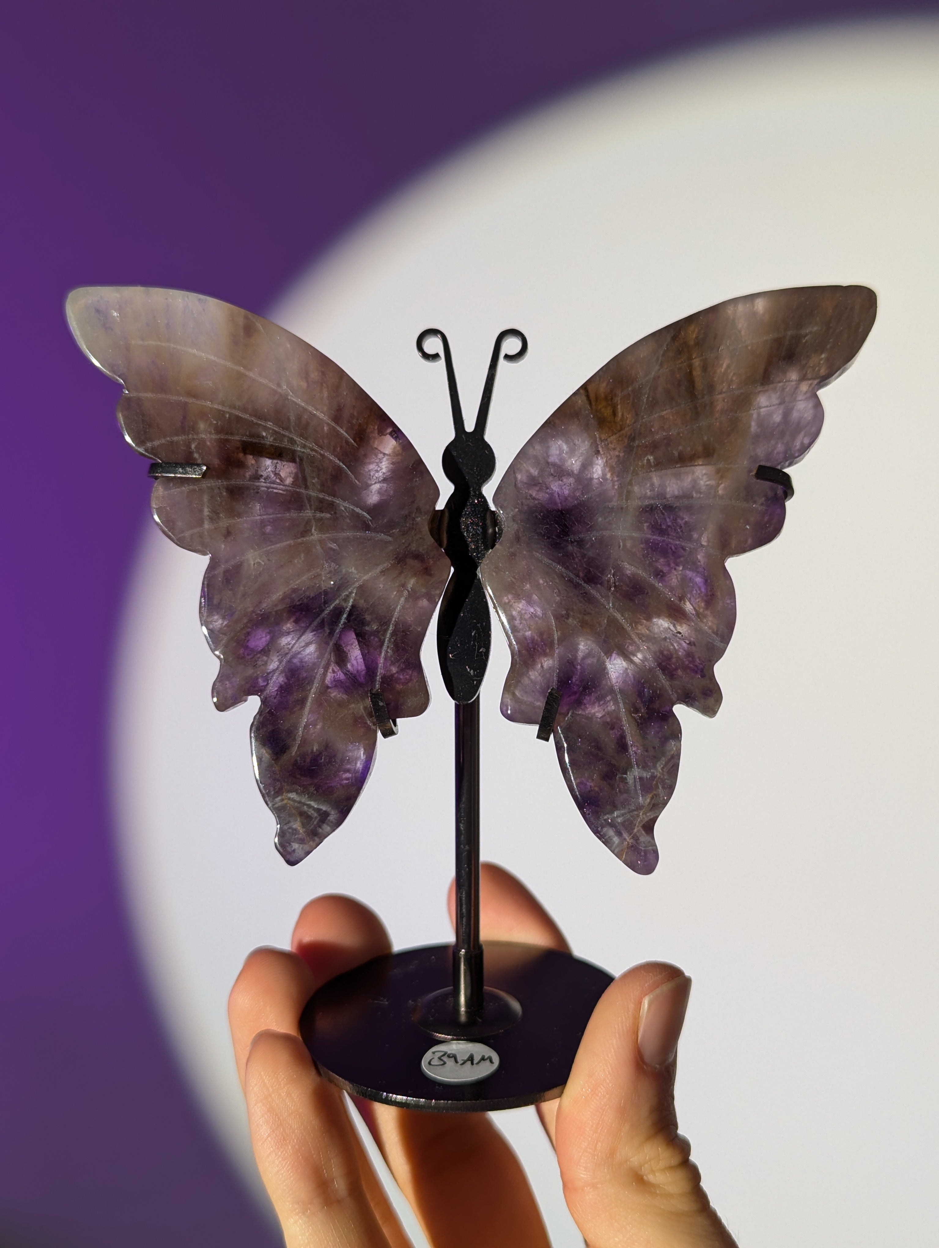 Amethyst Schmetterling 🦋💜