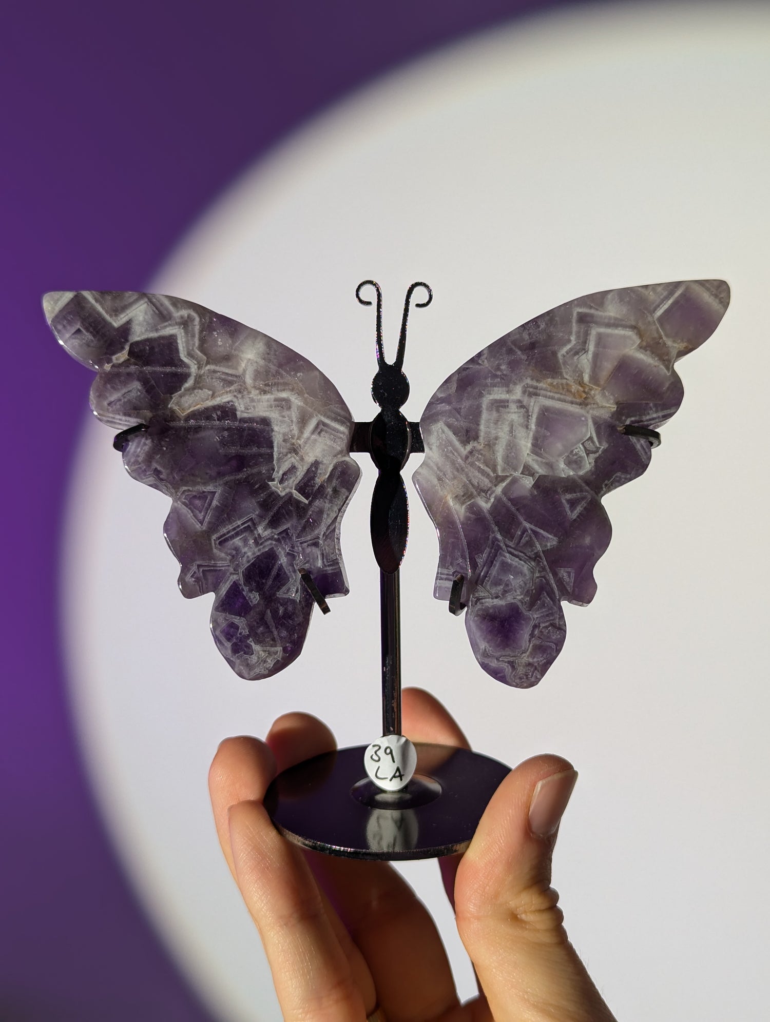 Amethyst Schmetterling 🦋💜