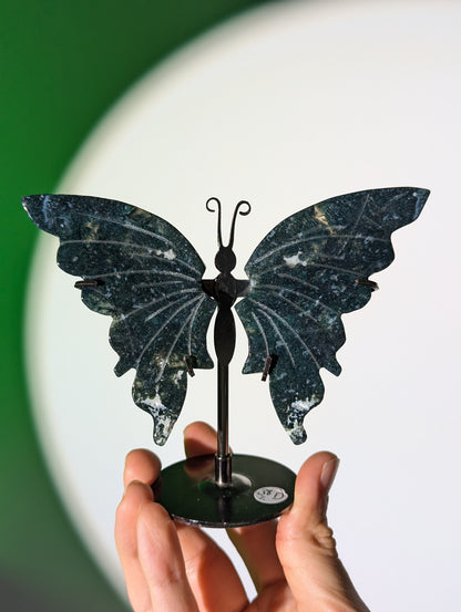 Moosachat Schmetterling 🦋💚