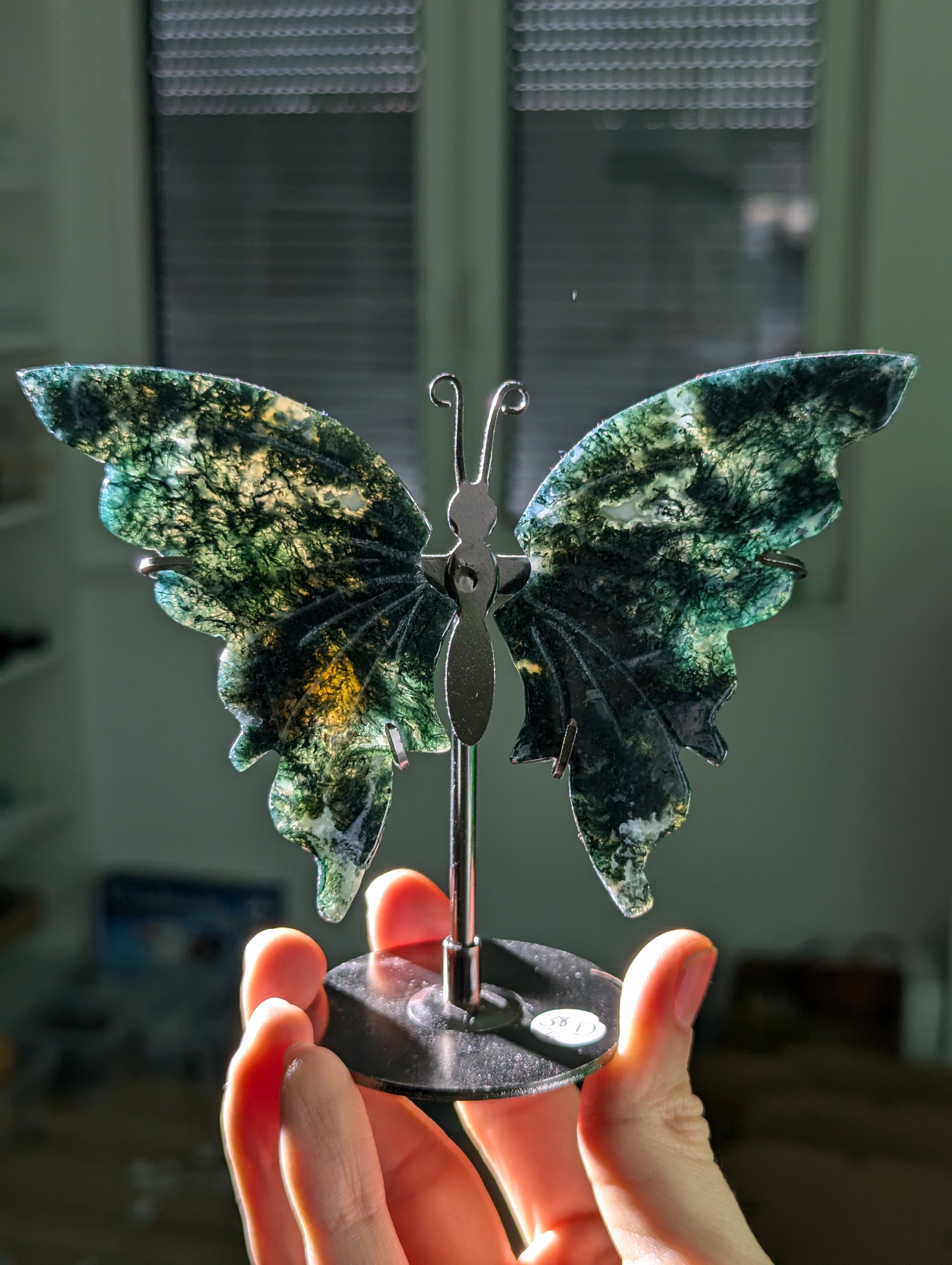 Moosachat Schmetterling 🦋💚