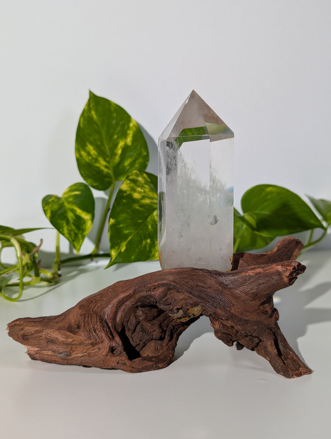 Bergkristall Spitze auf Holzwurzel