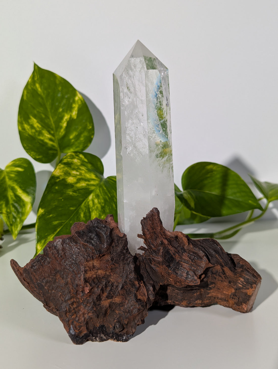 Bergkristall Spitze auf Holzwurzel