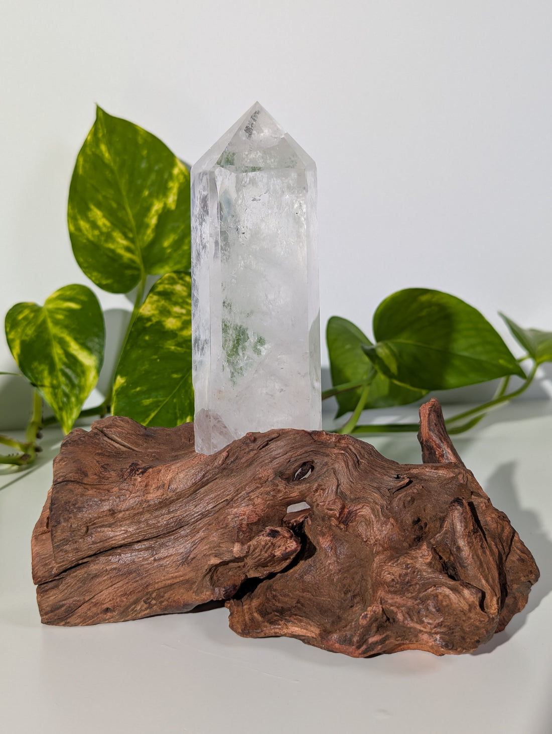 Bergkristall Spitze auf Holzwurzel