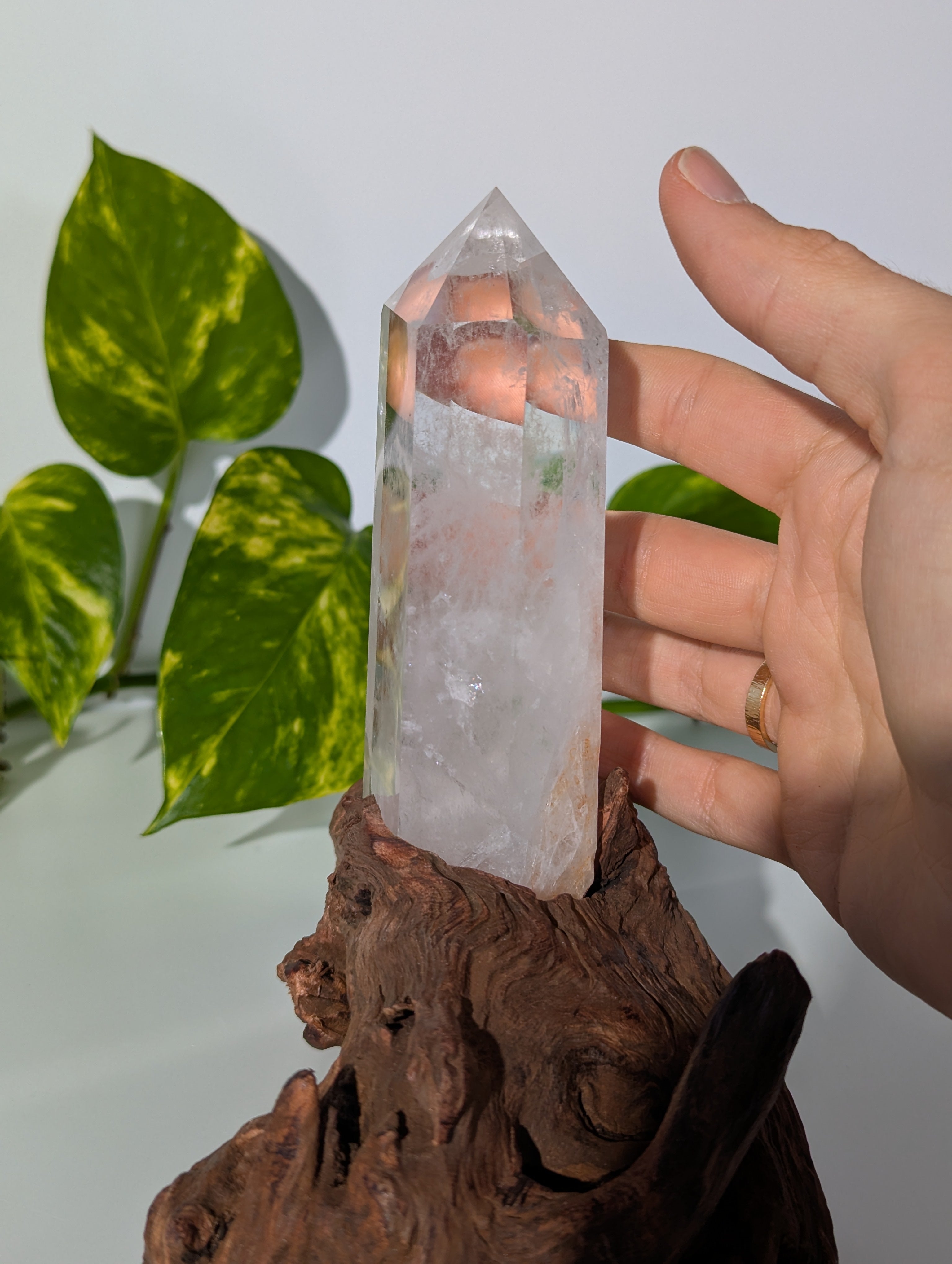 Bergkristall Spitze auf Holzwurzel
