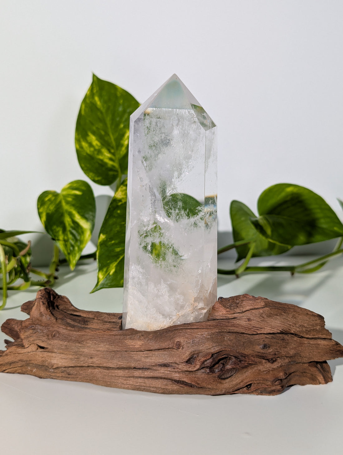 Bergkristall Spitze auf Holzwurzel