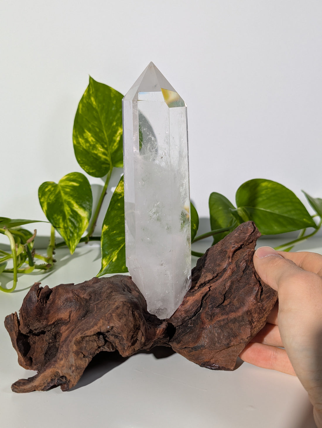 Bergkristall Spitze auf Holzwurzel