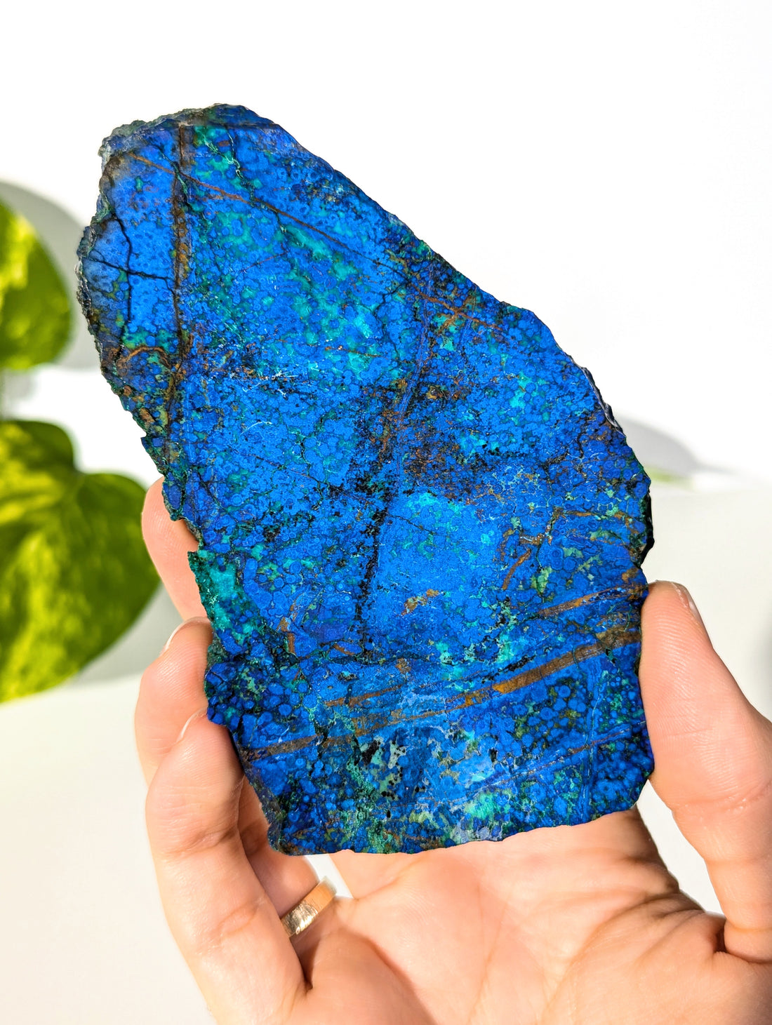 Azurit Platte mit Malachit 🫐