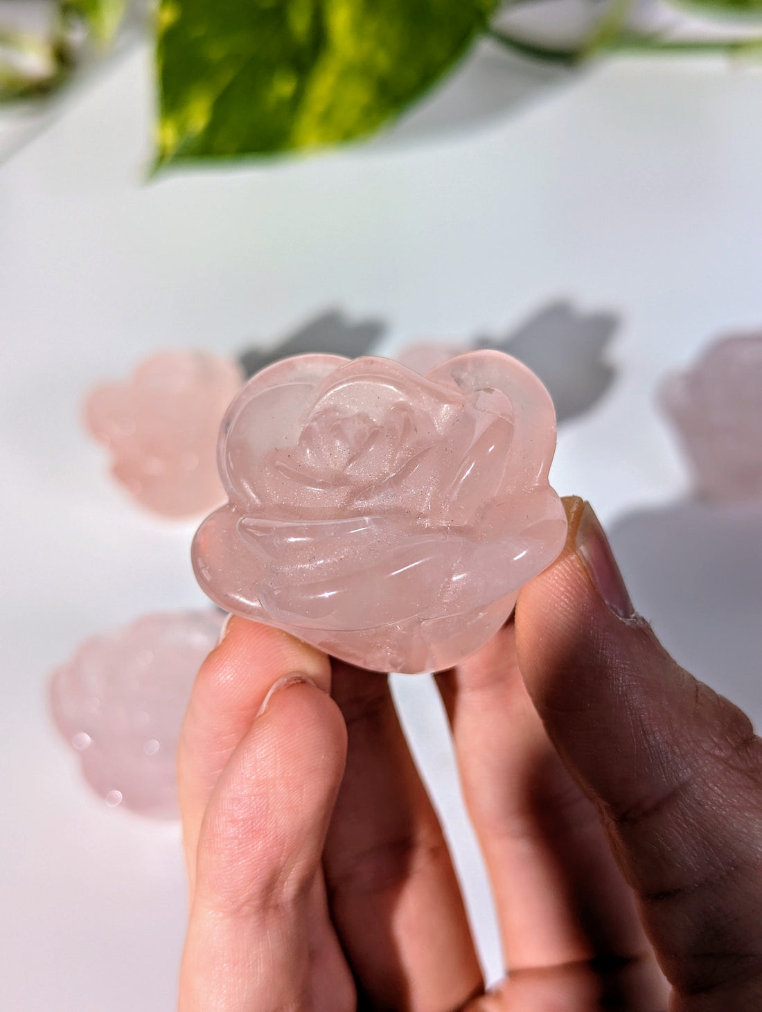 mittlere Rosenquarz Rosen 🌹