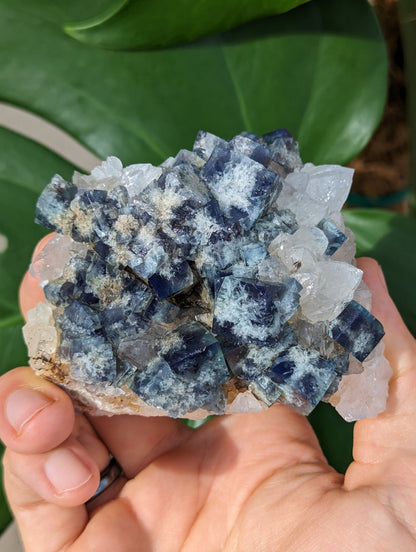 Fluorit Milky Way Pocket England groß