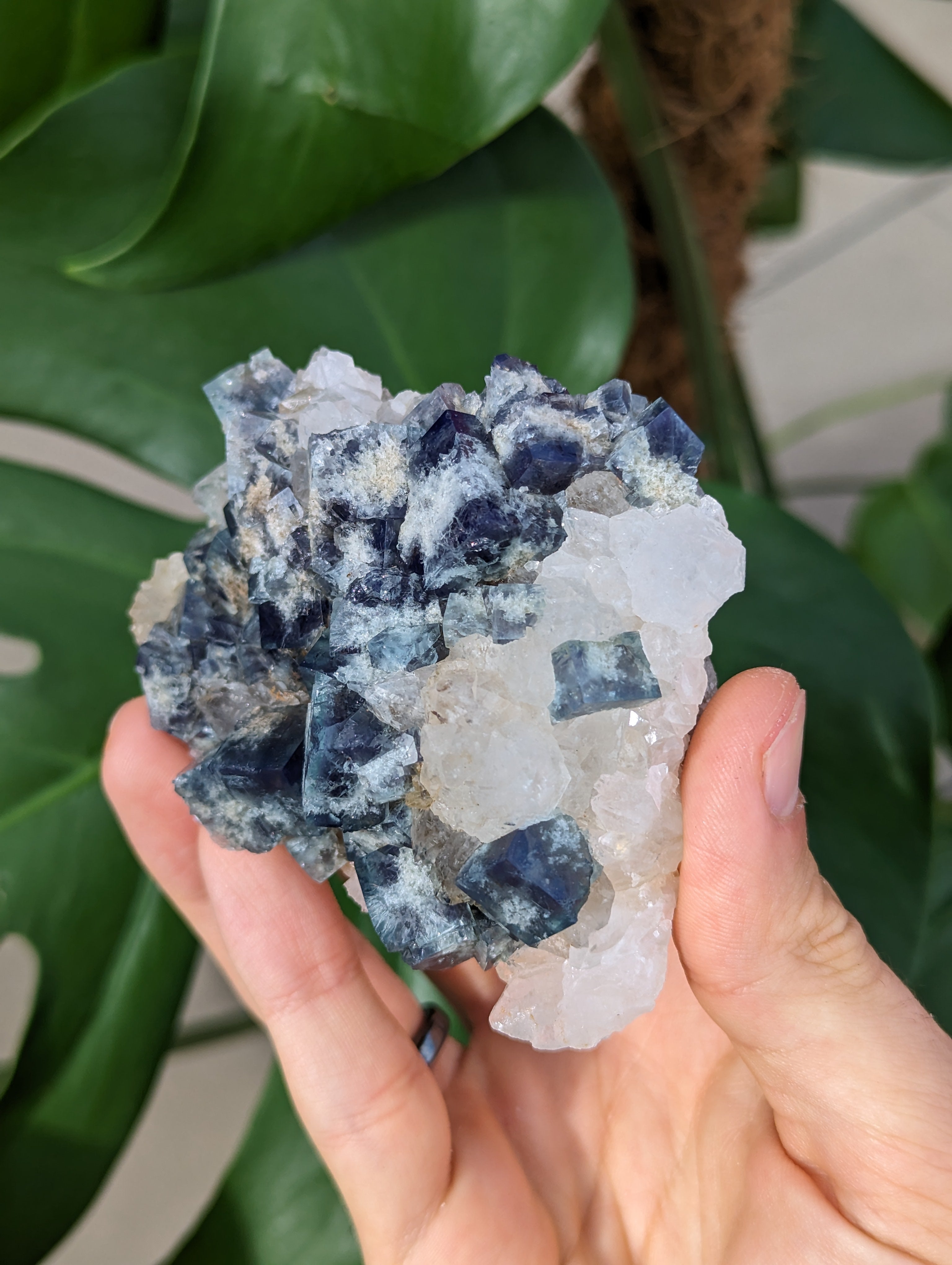 Fluorit Milky Way Pocket England groß