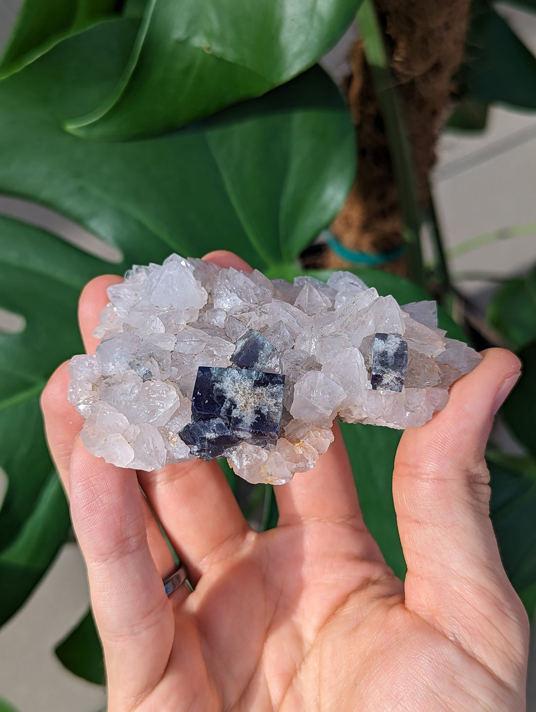 Fluorit Milky Way Pocket England