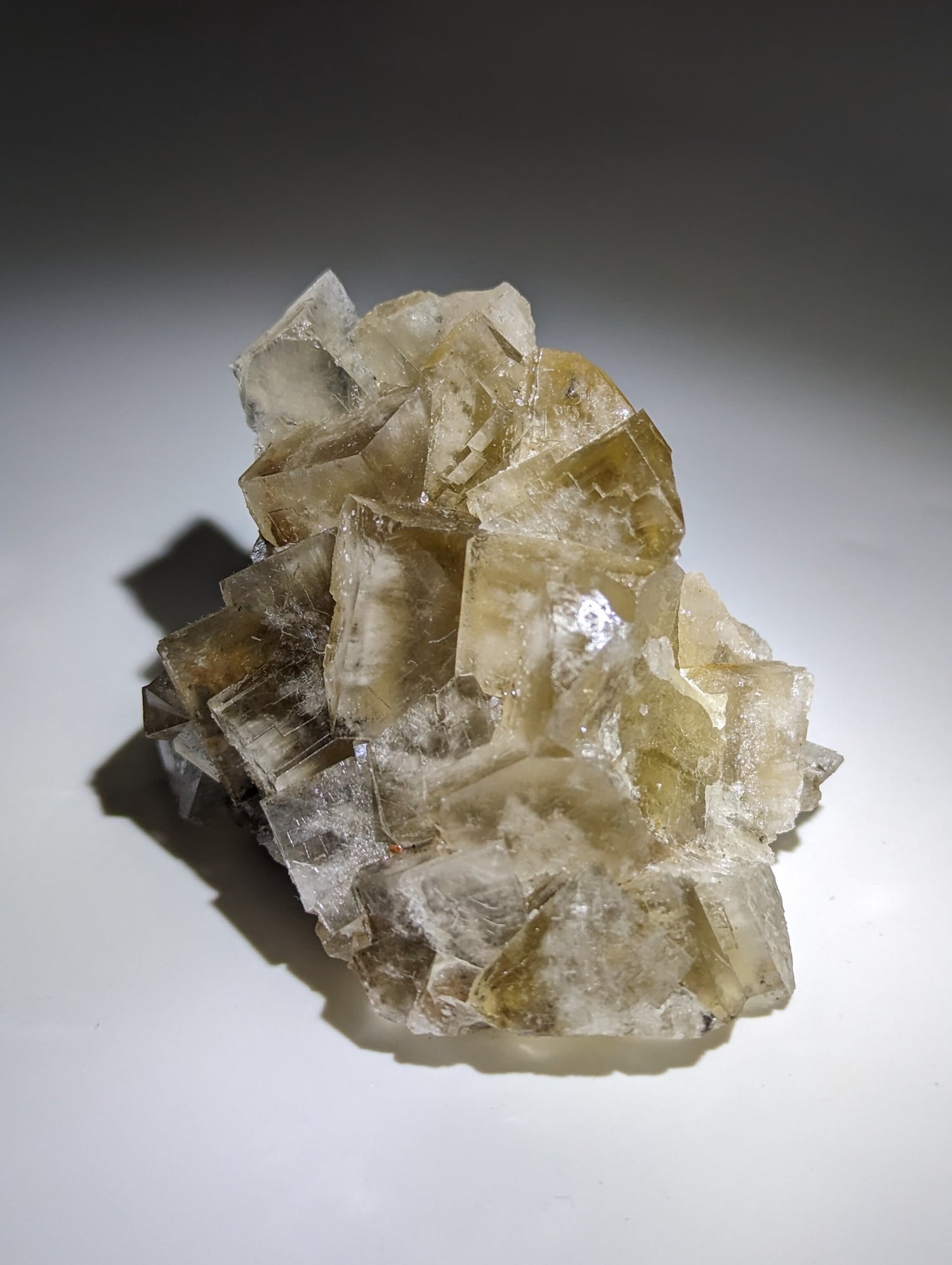 Fluorit Harvest Pocket, Lady Annabella Miene I