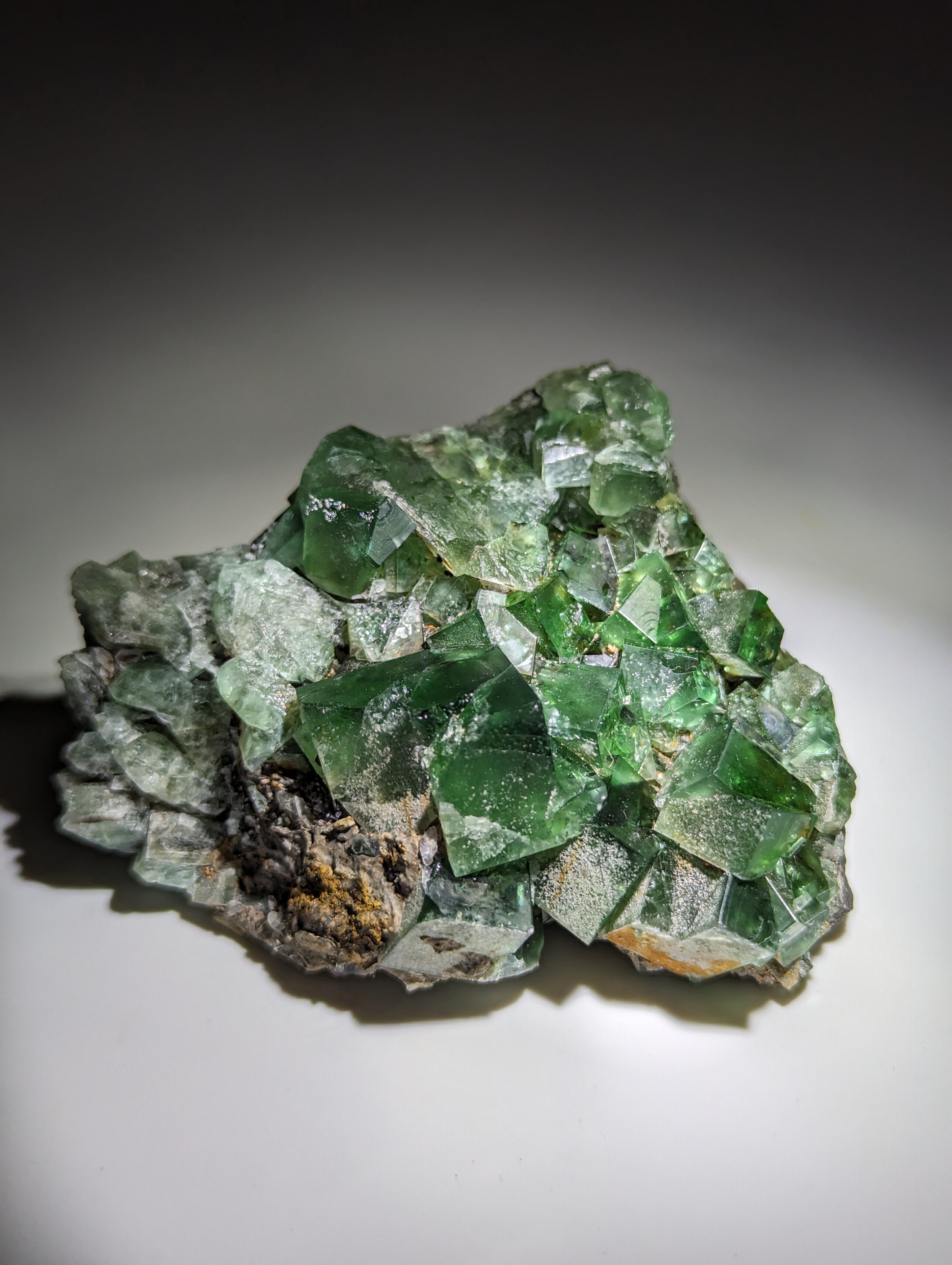 Fluorit 50 Year Pocket