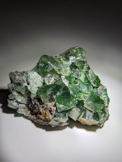 Fluorit 50 Year Pocket