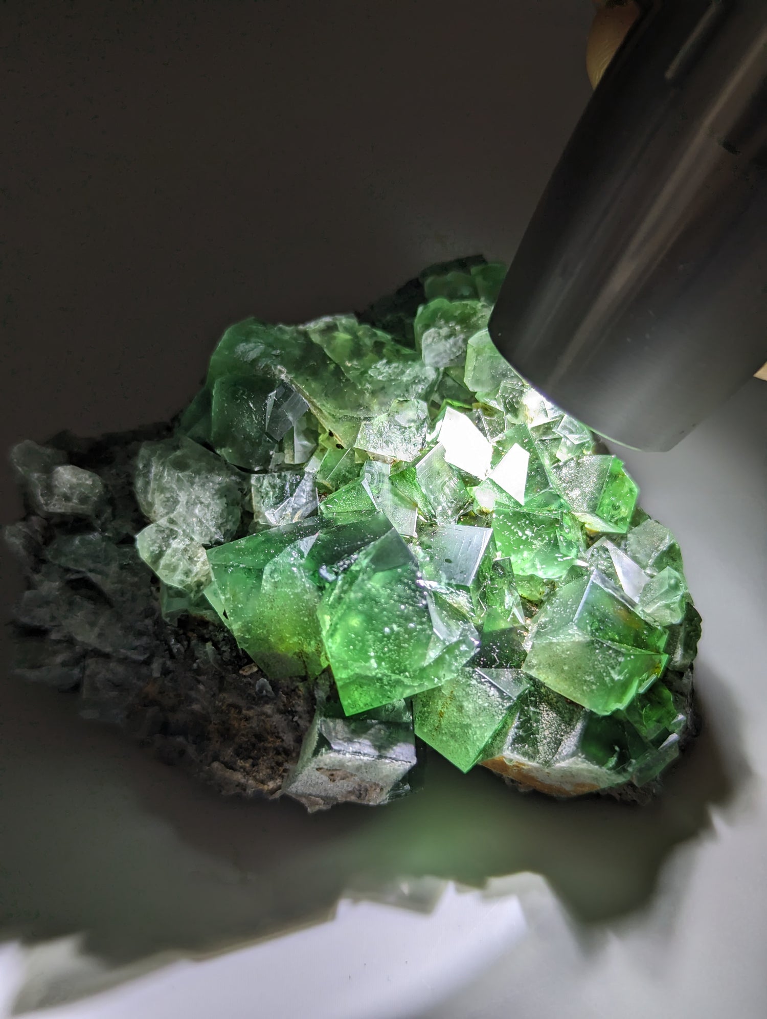 Fluorit 50 Year Pocket