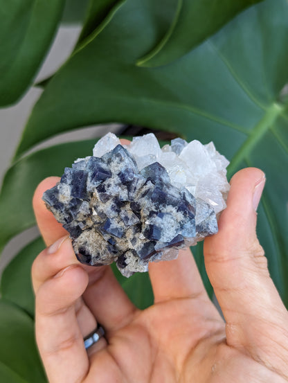 Fluorit Milky Way Pocket England II