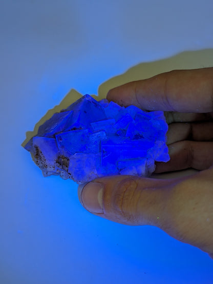 Fluorit Poison Ivy Pocket, Lady Annabella Miene