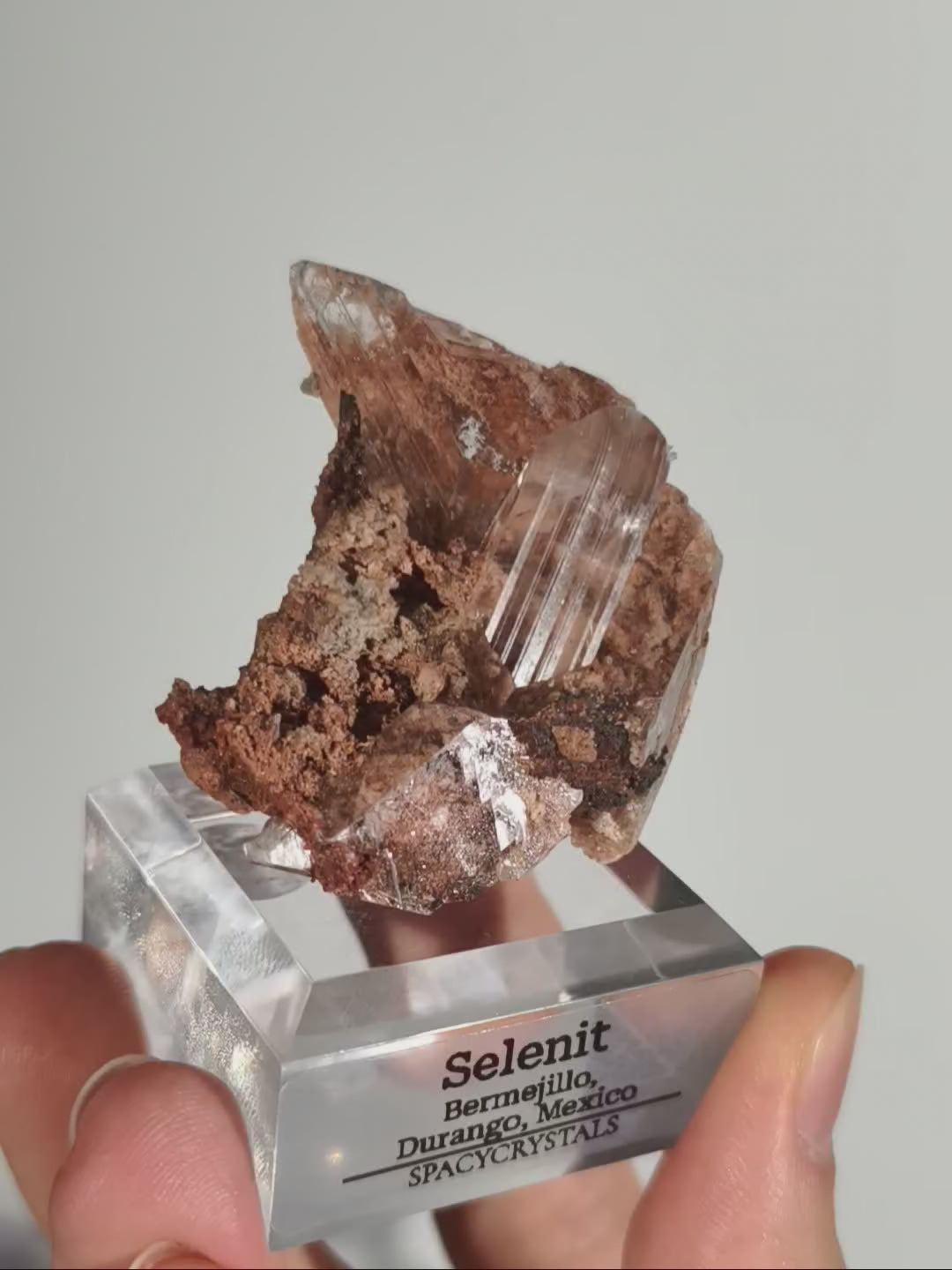 Glasklarer Durango Selenit (Gips) Kristall auf Matrix