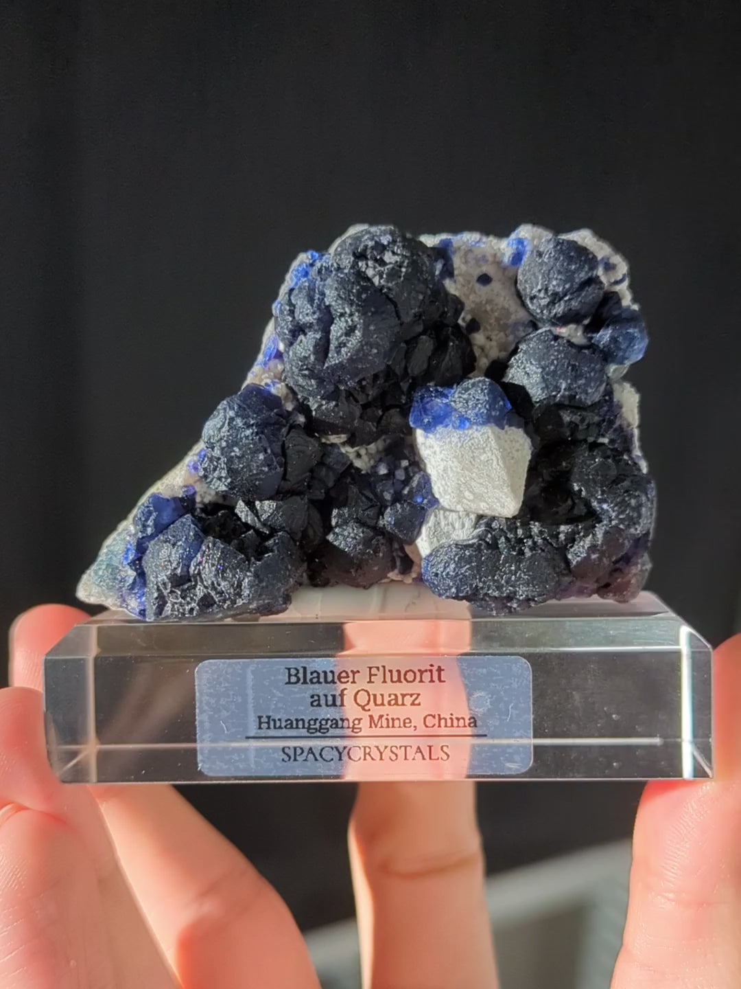 Blaubeer Fluorit auf Quarz 🫐 Huanggang Mine