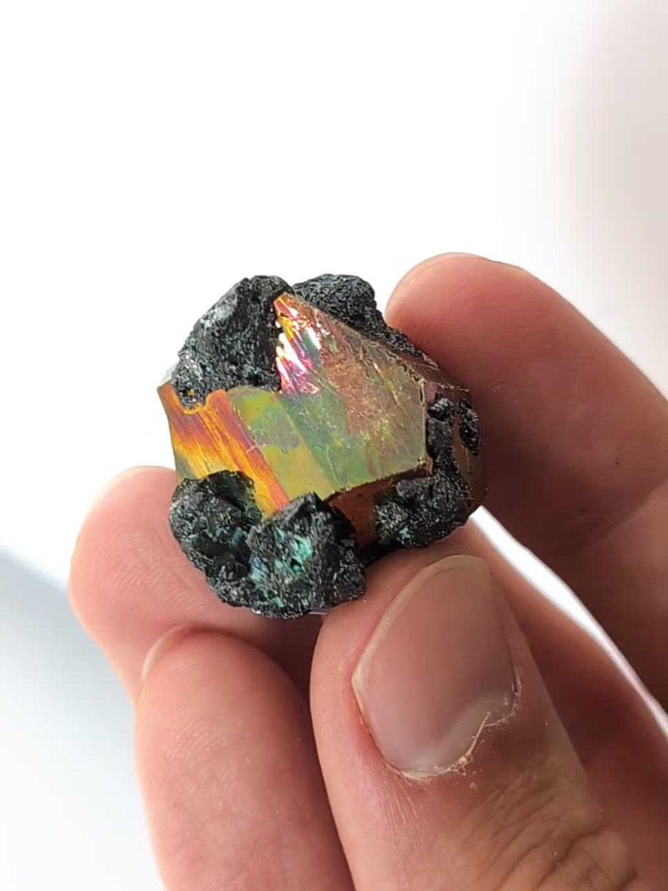 Stark! Natürlich irisierender Pyrit 🌈
