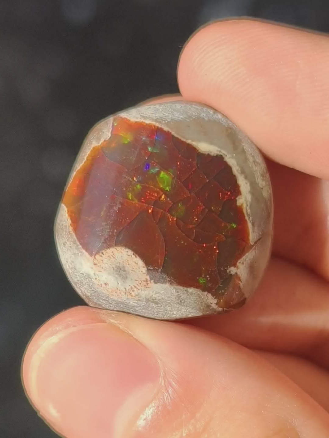 Schokoladen Opal aus Äthiopien - Shewa