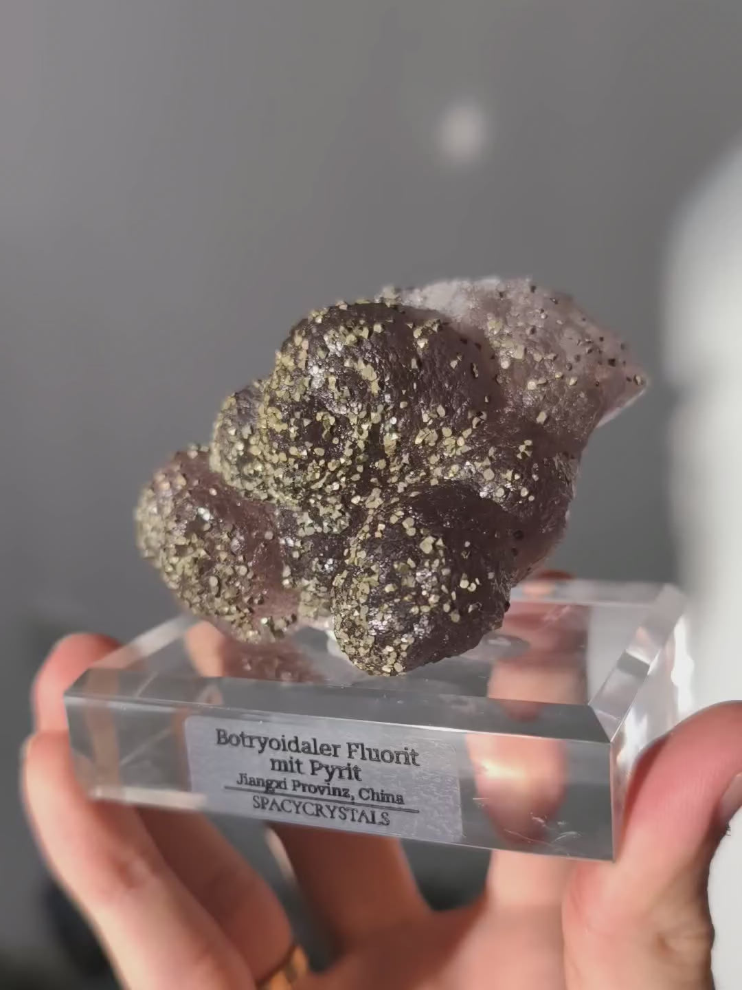 Botryoidaler fliederfarbener Fluorit mit Pyrit (besonders)