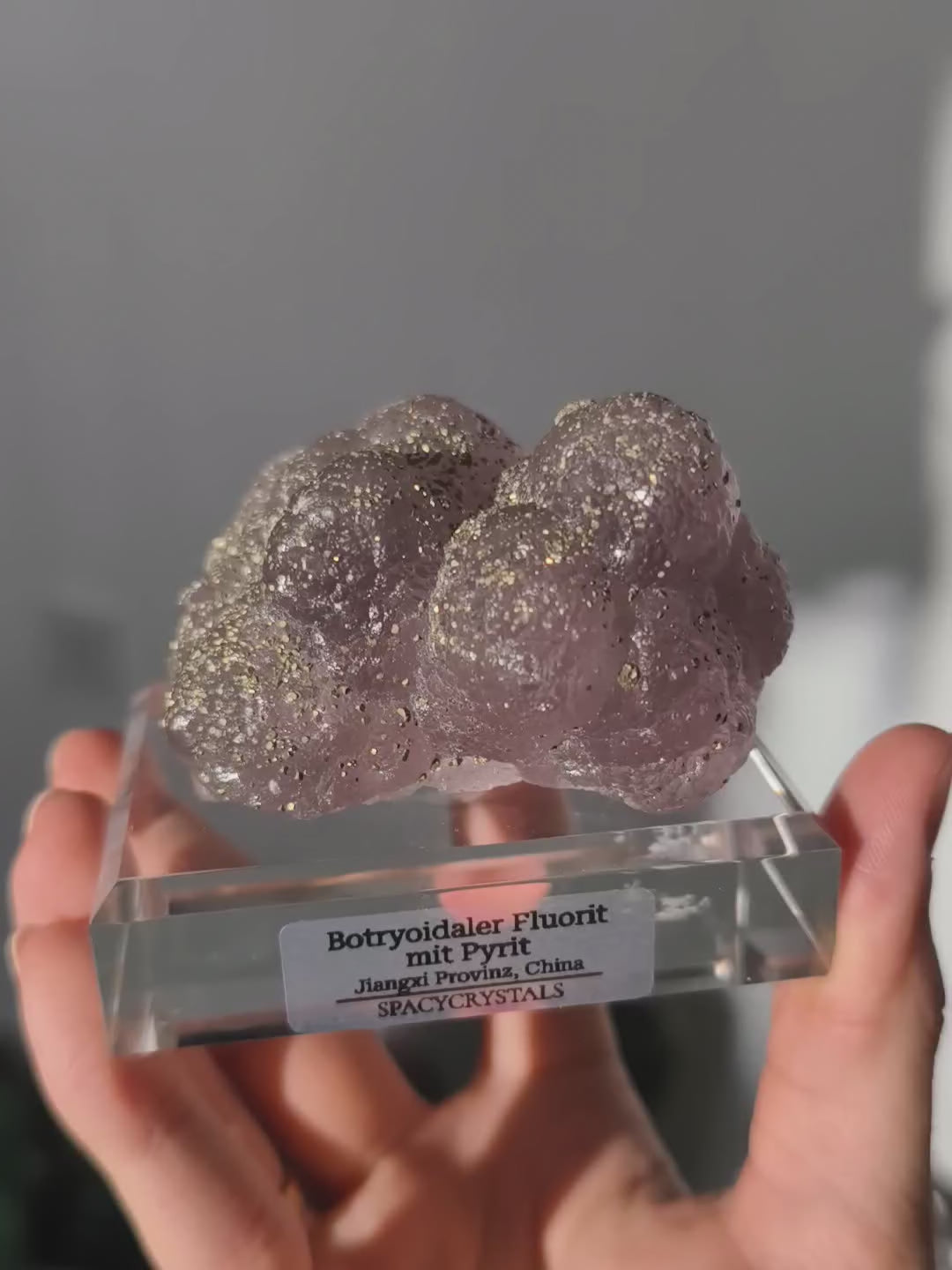 Botryoidaler fliederfarbener Fluorit mit Pyrit (besonders)