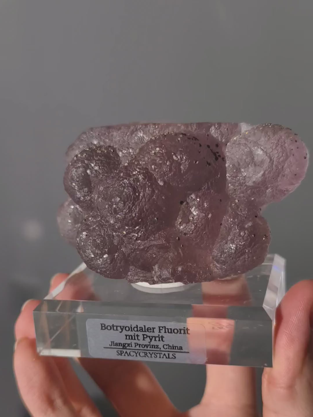 Botryoidaler fliederfarbener Fluorit mit Pyrit (besonders)