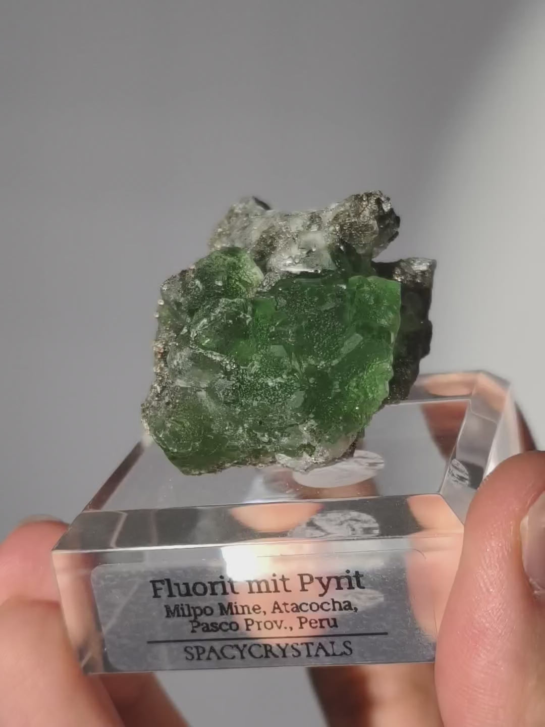 Grüner Fluorit mit Pyrit, Milpo Mine, Peru