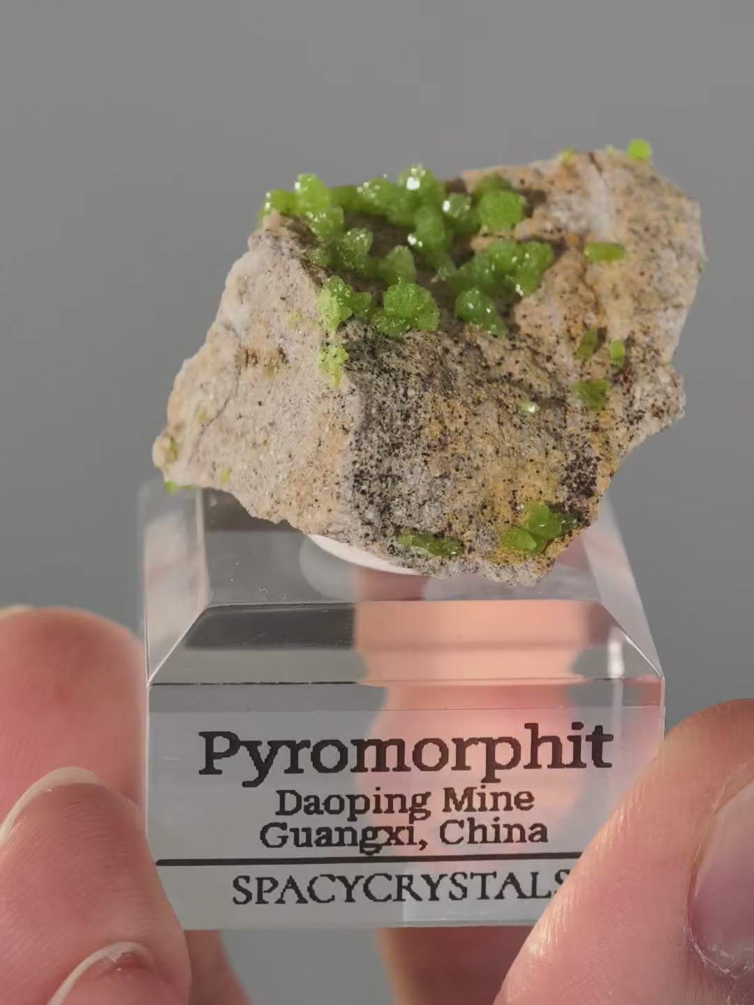 Grüner Pyromorphit aus Daoping Mine auf Podest