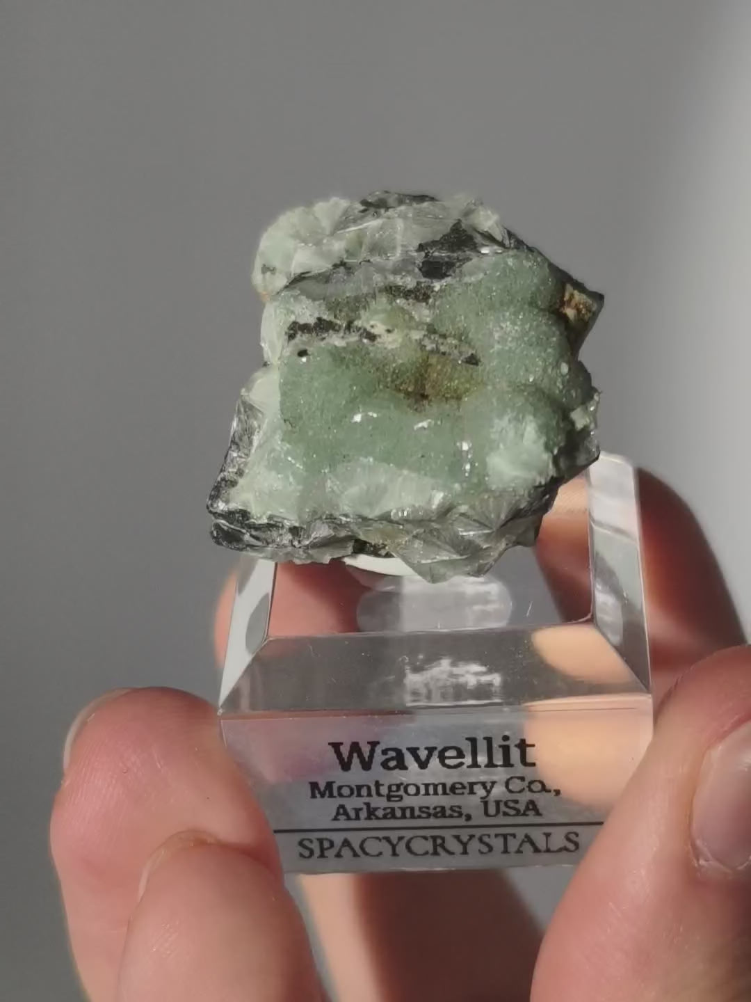 Wavellit aus Arkansas, USA, auf Podest