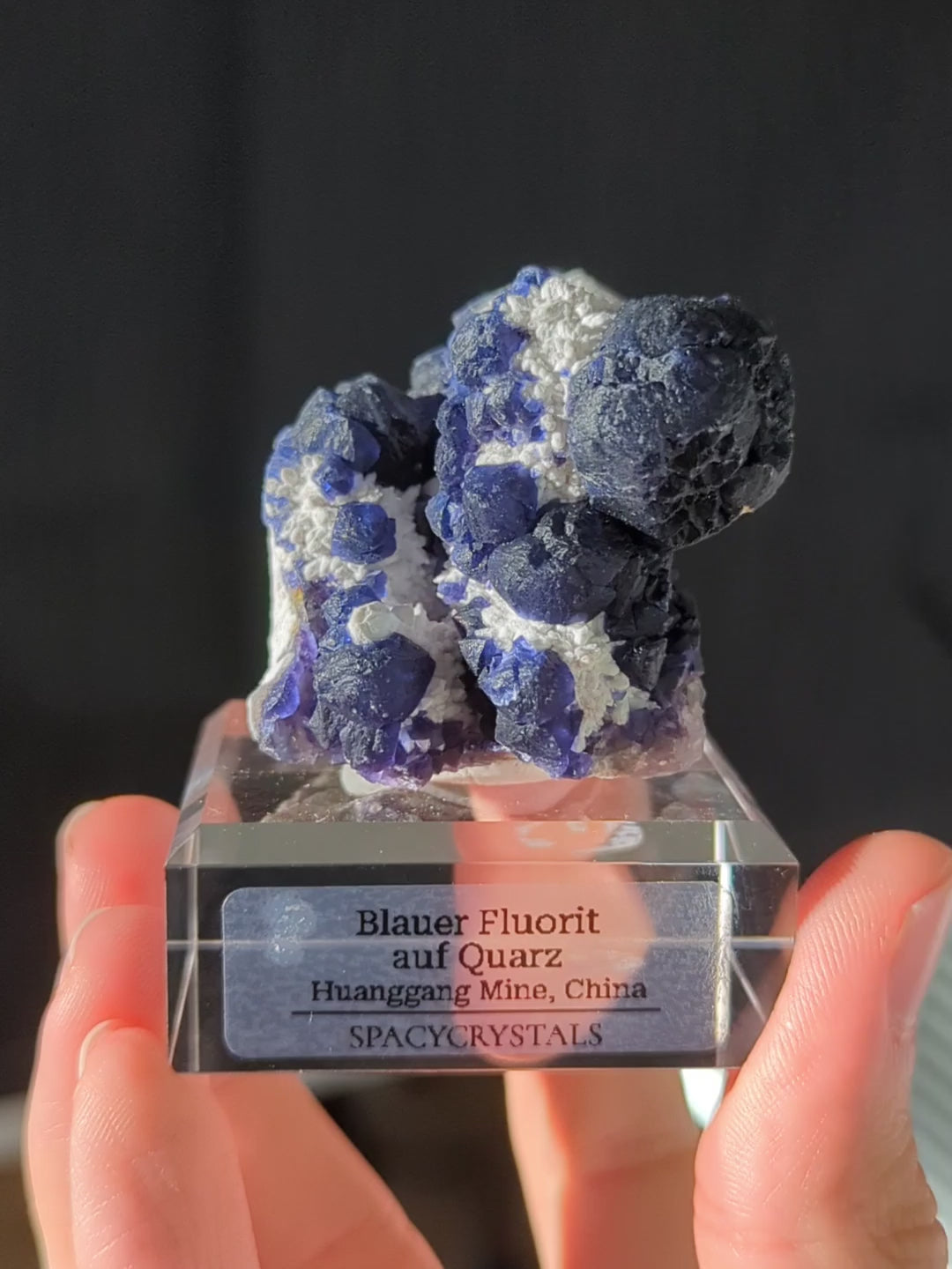 Blaubeer Fluorit auf Quarz 🫐 Huanggang Mine