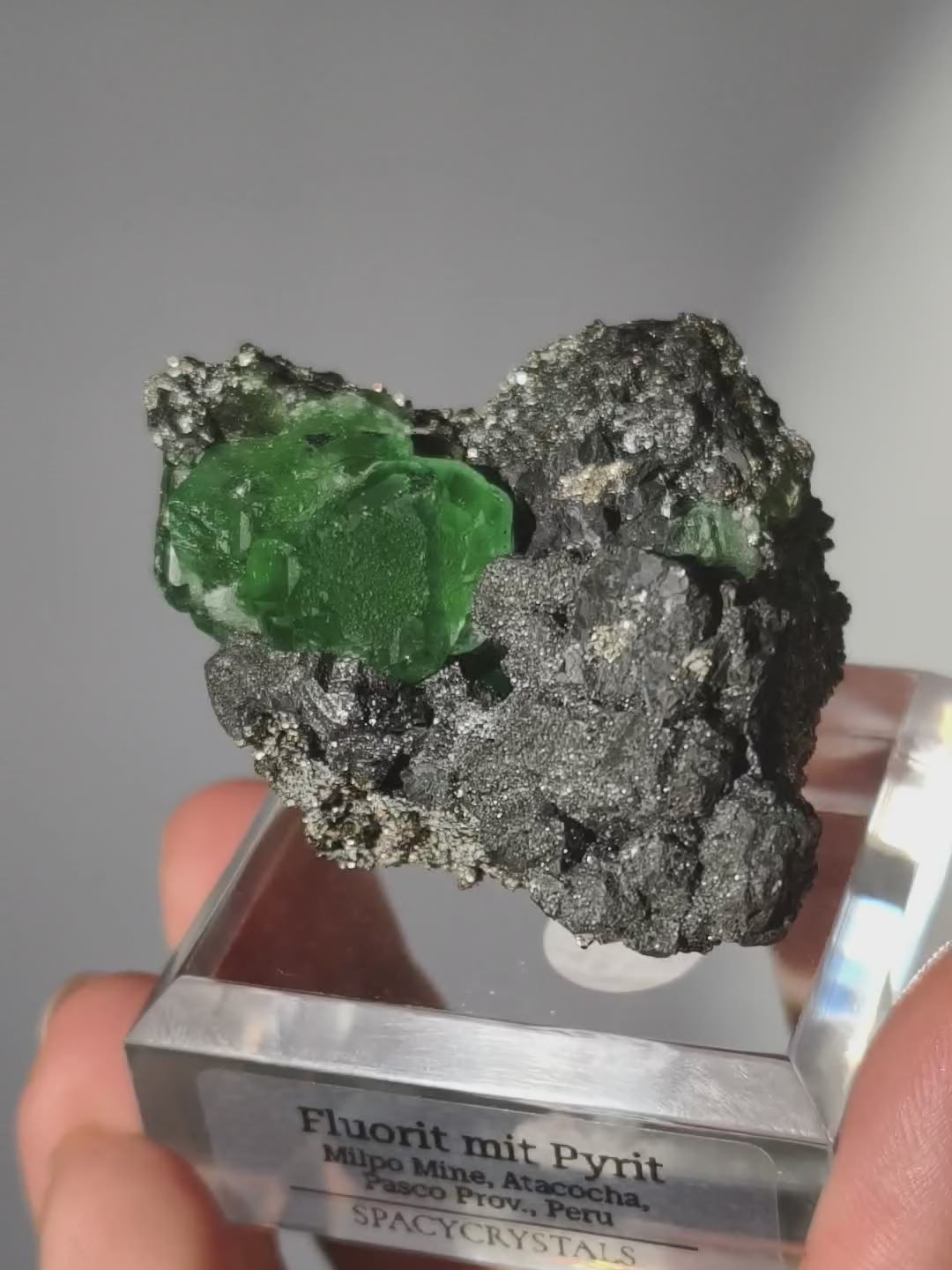 Grüner Fluorit mit Pyrit, Milpo Mine, Peru