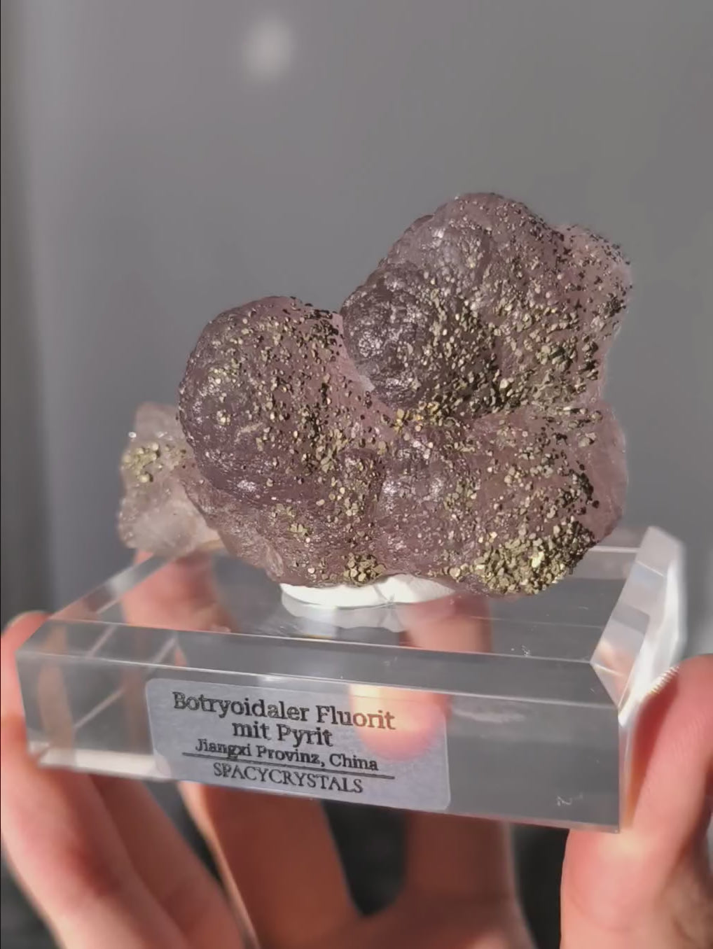 Botryoidaler fliederfarbener Fluorit mit Pyrit (besonders)