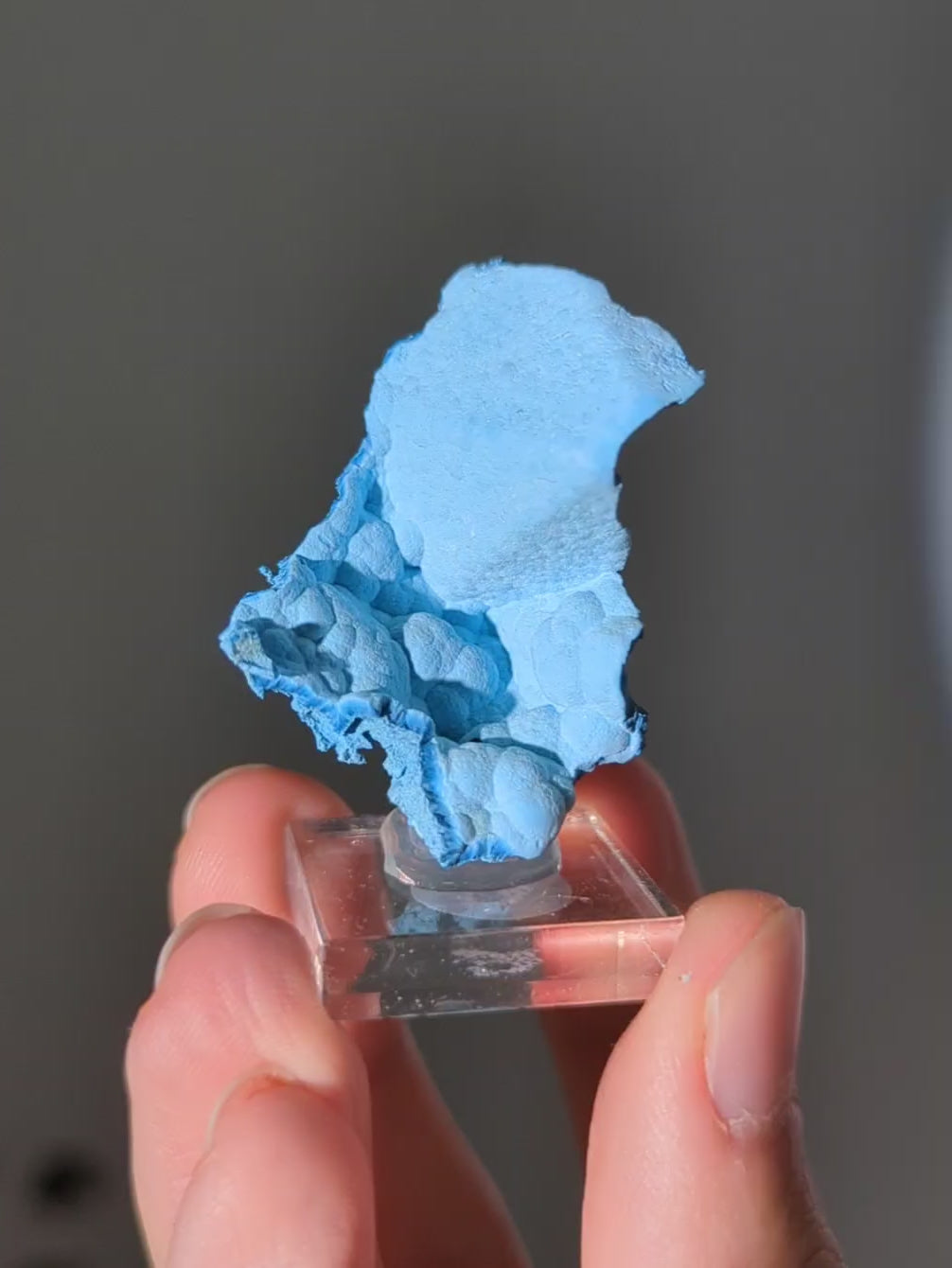 Botryoidaler hellblauer Shattuckit mit Spitzenabdruck