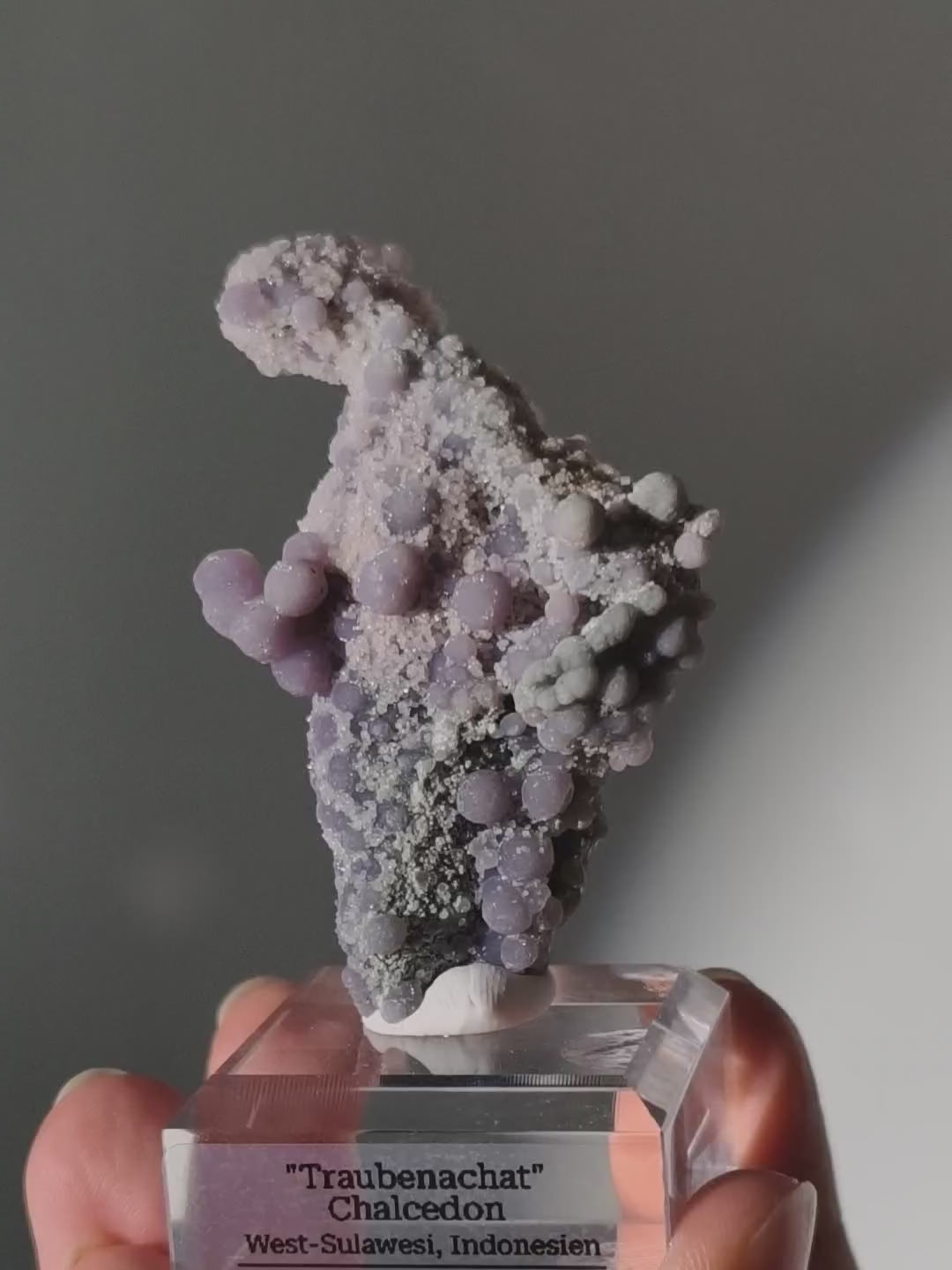 Traubenachat aus Indonesien auf Podest