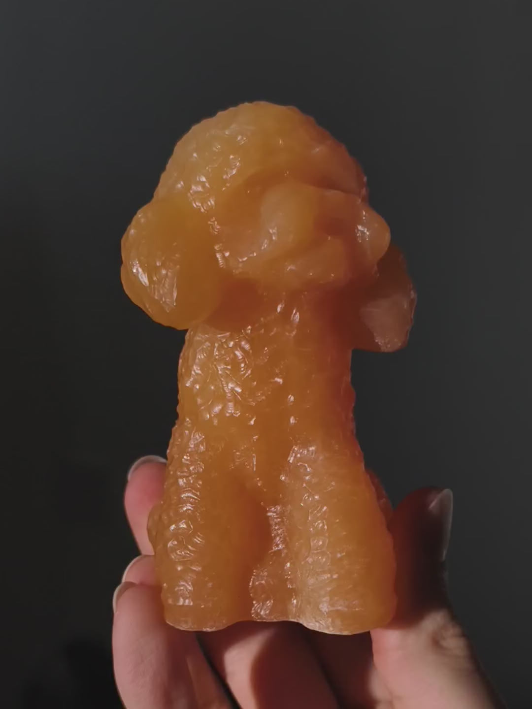 Orangencalcit Pudel Hund