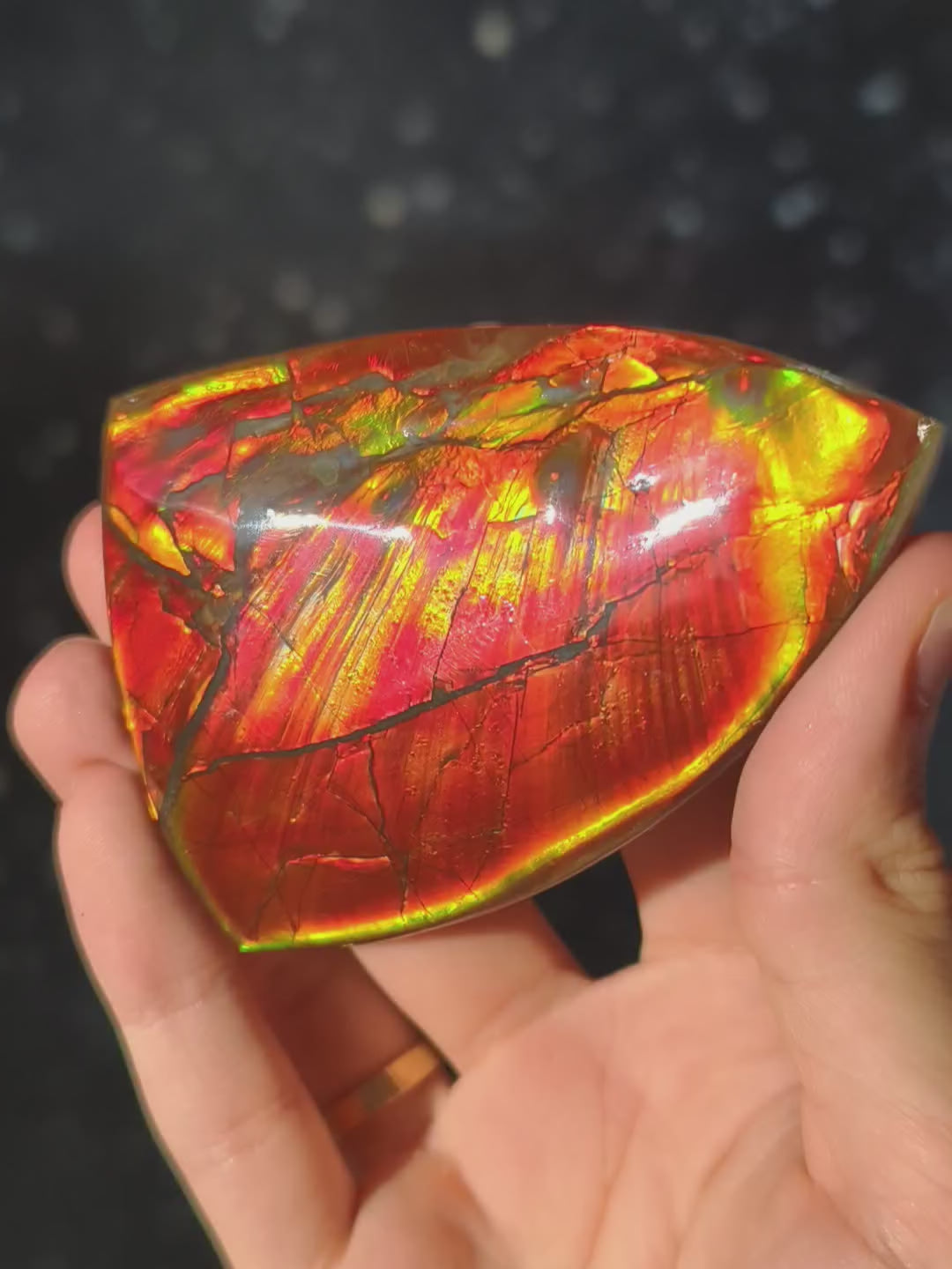 Ammolit Freiform aus Kanada AA-Qualität