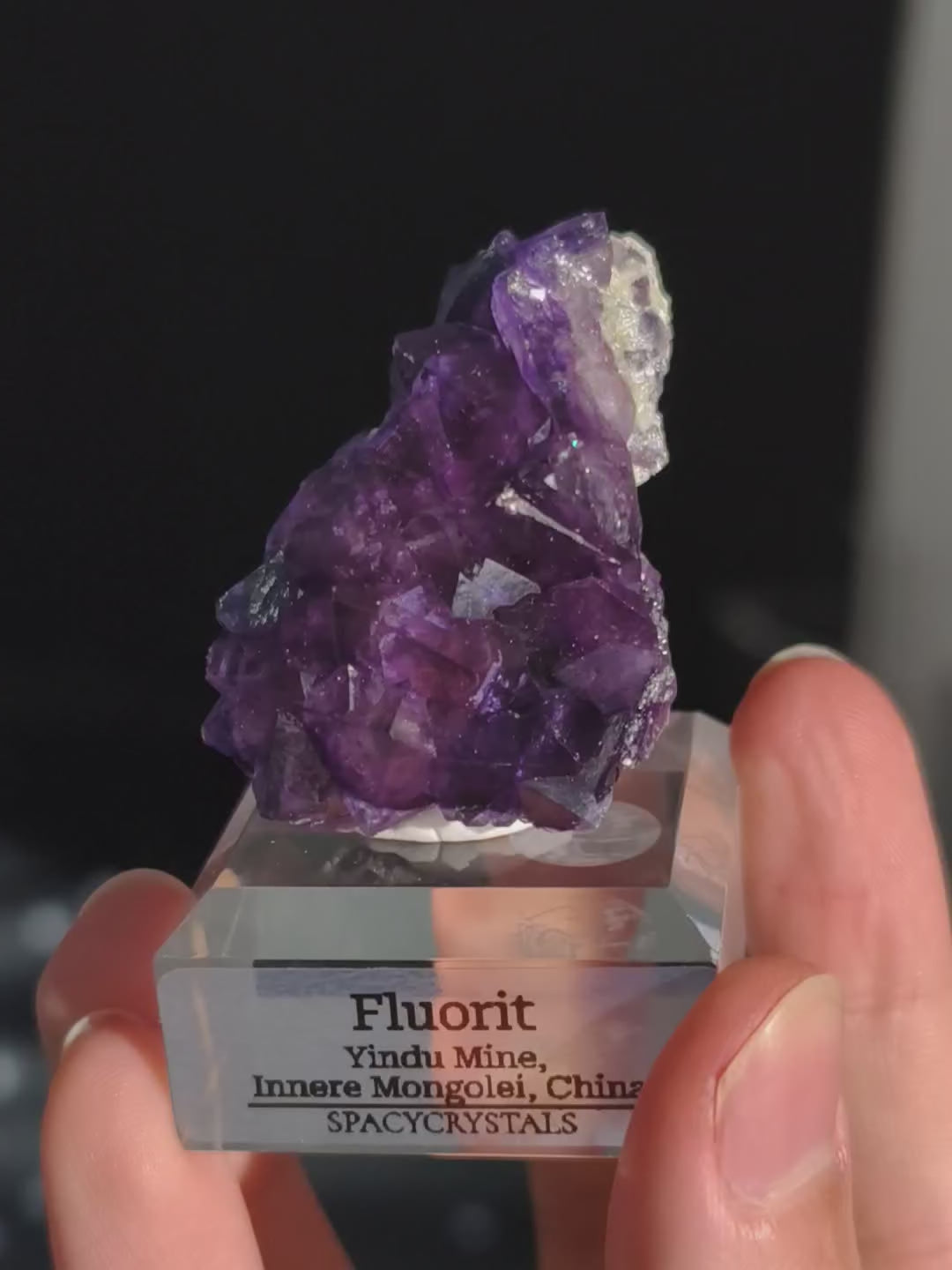 Glänzendes Lila Fluorit Oktaeder Cluster Yindu Mine