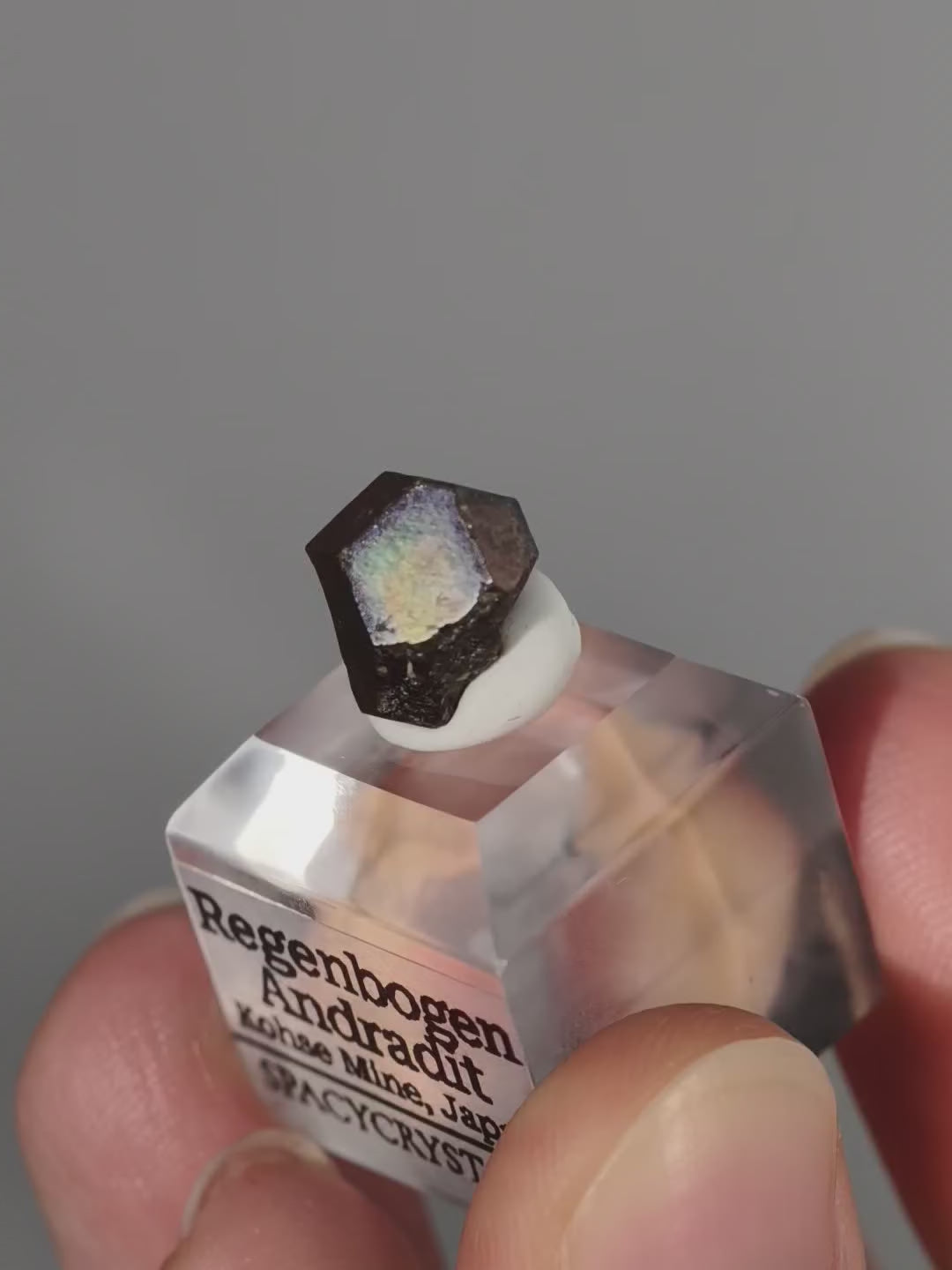 Regenbogen Andradit - Kohse Mine, Japan (selten)