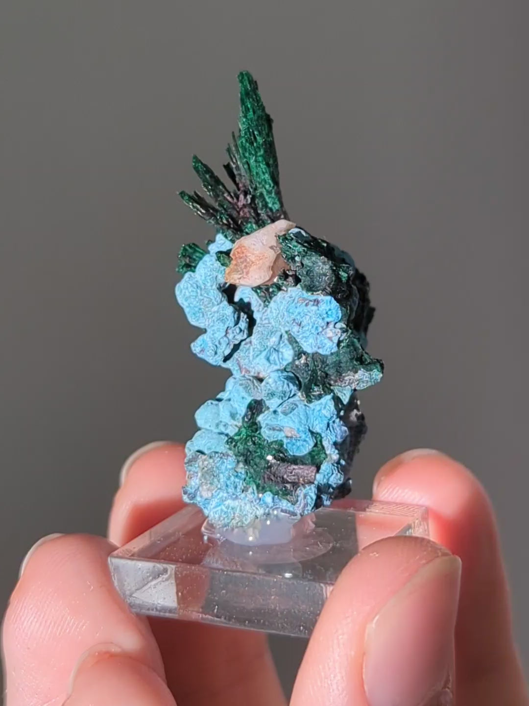 Shattuckit mit faserigem Malachit aus Namibia