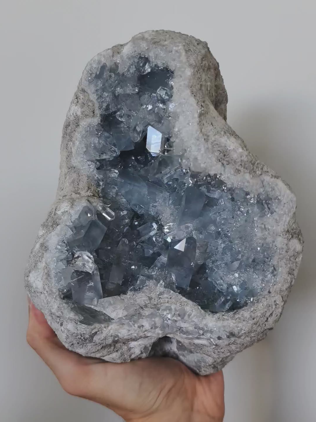 XL Coelestin Geode mit großen Kristallen! 💎