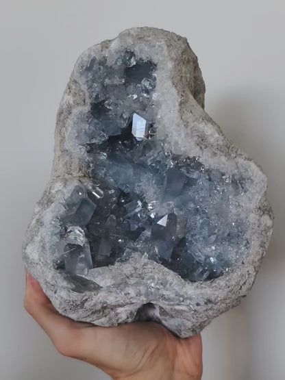 XL Coelestin Geode mit großen Kristallen! 💎