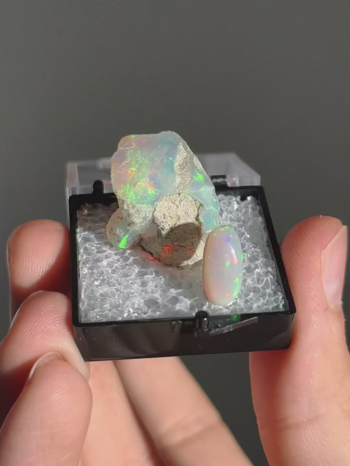 Welo Opal Set &quot;mini Museum&quot;